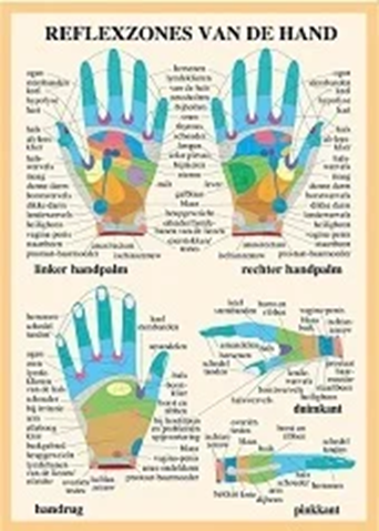 Handreflexzones overzicht Heeel-Reflex